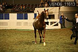 USN06_11613 proof