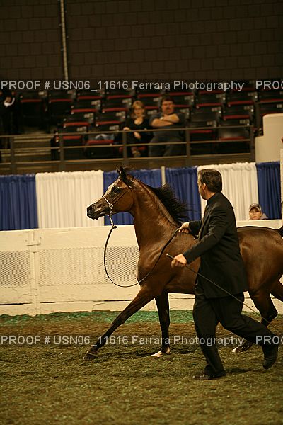 Proof USN06_11616