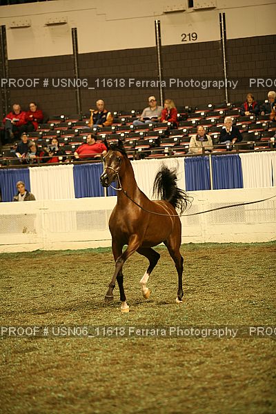 Proof USN06_11618