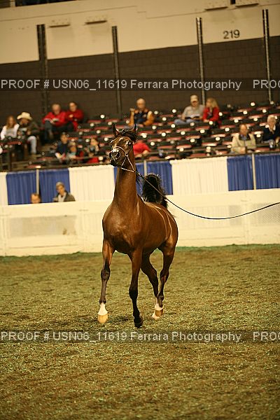 Proof USN06_11619