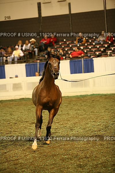 Proof USN06_11620