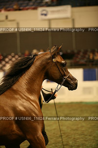 Proof USN06_11624