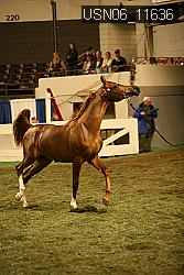 USN06_11636 proof