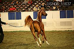 USN06_11637 proof