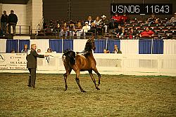 USN06_11643 proof