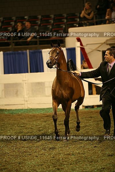 Proof USN06_11645
