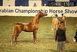 USN06_11656 proof