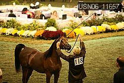 USN06_11657 proof