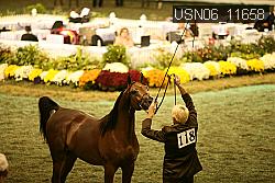 USN06_11658 proof