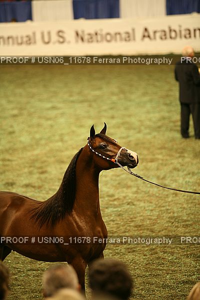 Proof USN06_11678