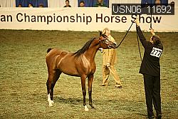 USN06_11692 proof