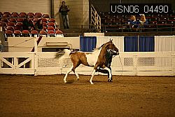 USN06_04490 proof