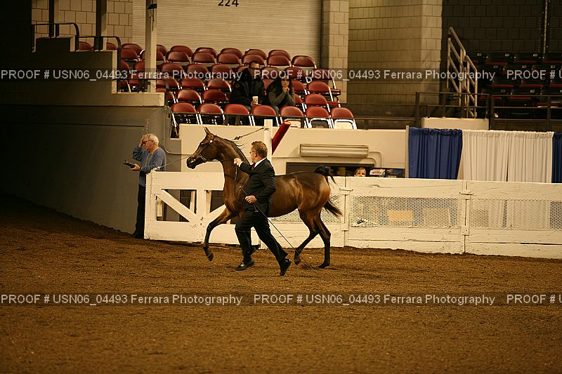 Proof USN06_04493