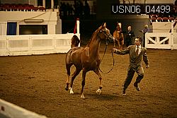 USN06_04499 proof