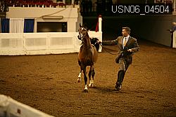 USN06_04504 proof