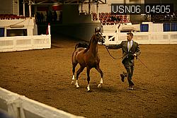 USN06_04505 proof
