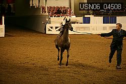 USN06_04508 proof