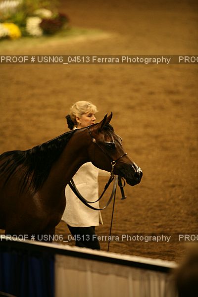 Proof USN06_04513
