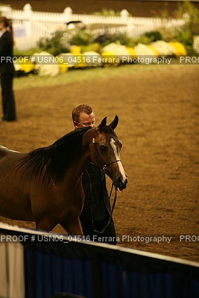 Proof USN06_04516