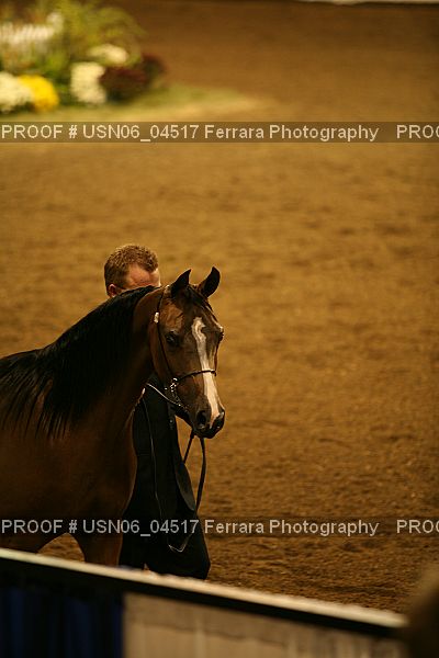 Proof USN06_04517
