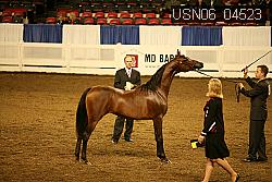 USN06_04523 proof
