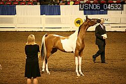 USN06_04532 proof