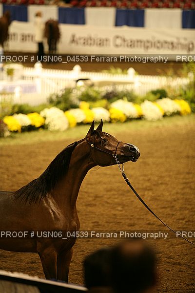 Proof USN06_04539