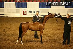 USN06_04542 proof