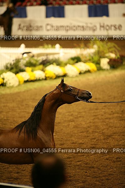 Proof USN06_04555