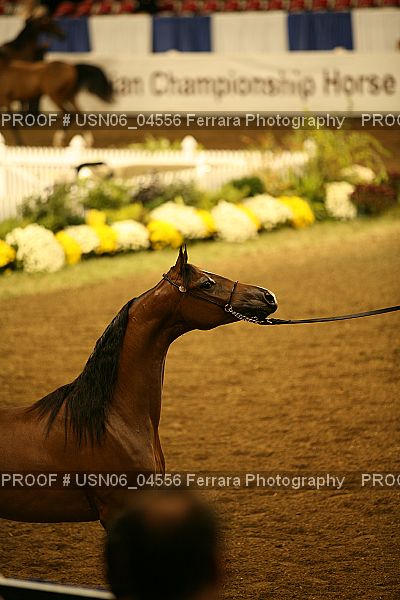 Proof USN06_04556