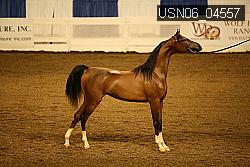 USN06_04557 proof