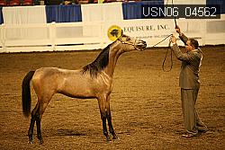USN06_04562 proof