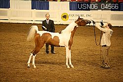 USN06_04566 proof