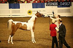 USN06_04567 proof