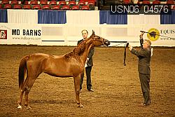 USN06_04576 proof