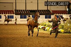 USN06_04619 proof