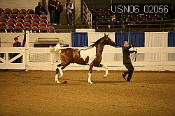 USN06_02056 proof