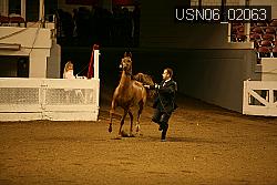 USN06_02063 proof