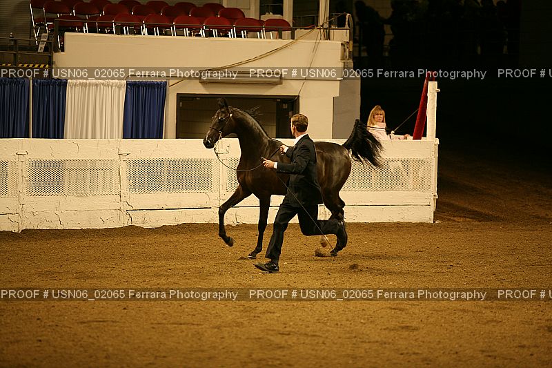 Proof USN06_02065
