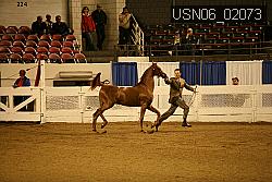 USN06_02073 proof