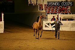 USN06_02075 proof