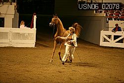 USN06_02078 proof