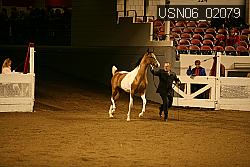 USN06_02079 proof