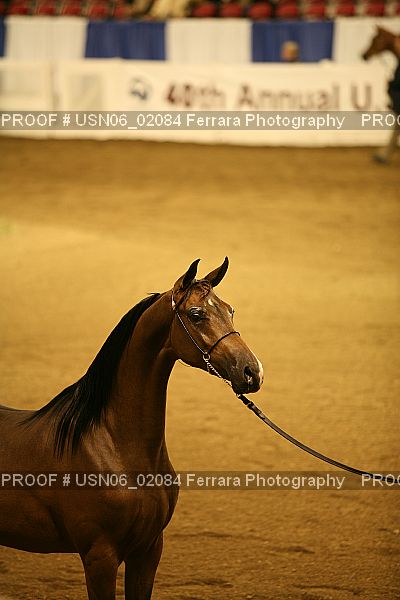 Proof USN06_02084