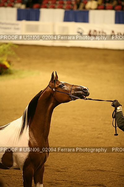 Proof USN06_02094