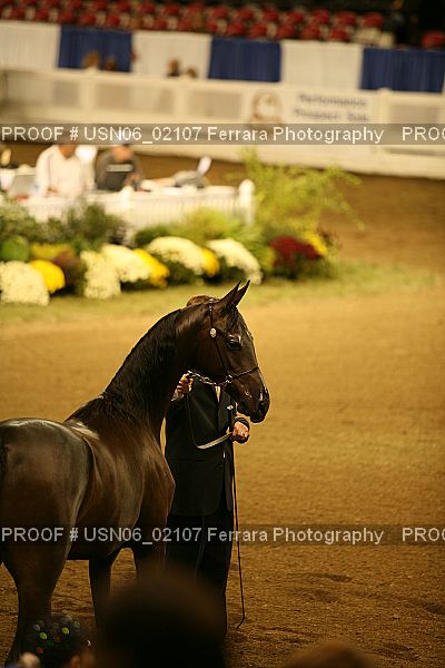 Proof USN06_02107