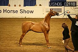 USN06_02118 proof
