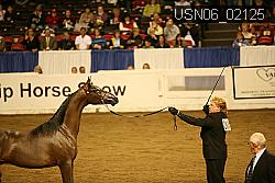 USN06_02125 proof
