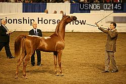 USN06_02145 proof