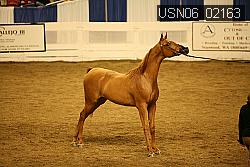 USN06_02163 proof